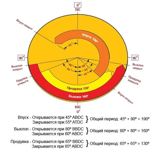 ФАЗЫ ГАЗОРАСПРЕДЕЛЕНИЯ (схема 11)